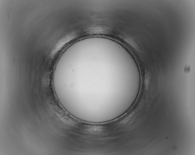 X0000111371309200907241236