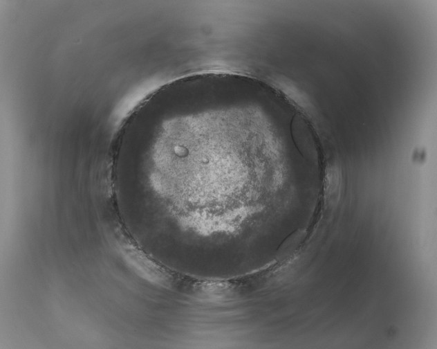 X0000111371310200907241236