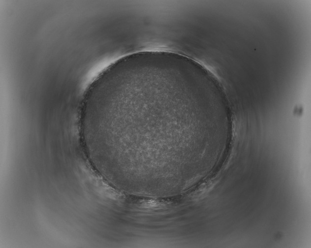 X0000111371311200907241236