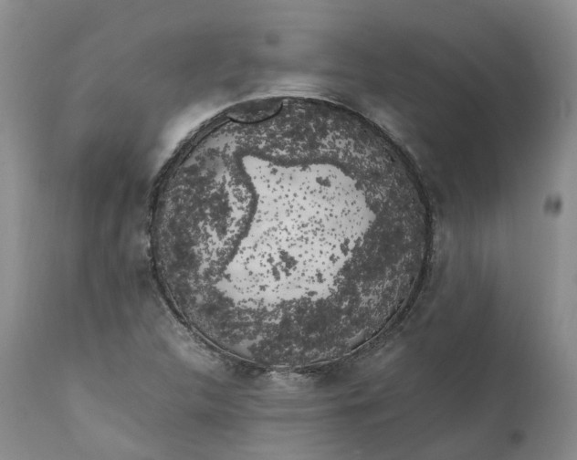 X0000111371312200907241236