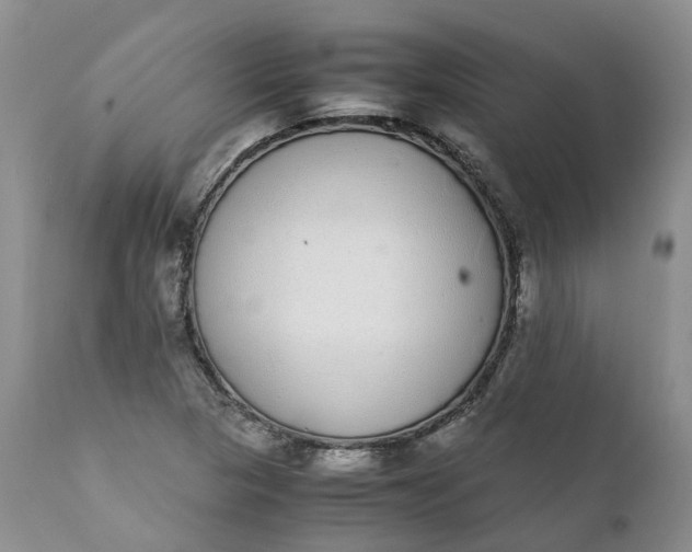 X0000111371313200907241236