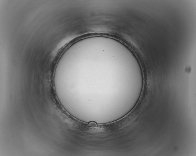 X0000111371315200907241236