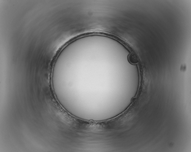 X0000111371316200907241236