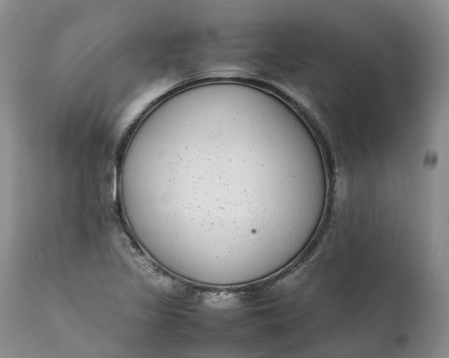 X0000111371317200907241236