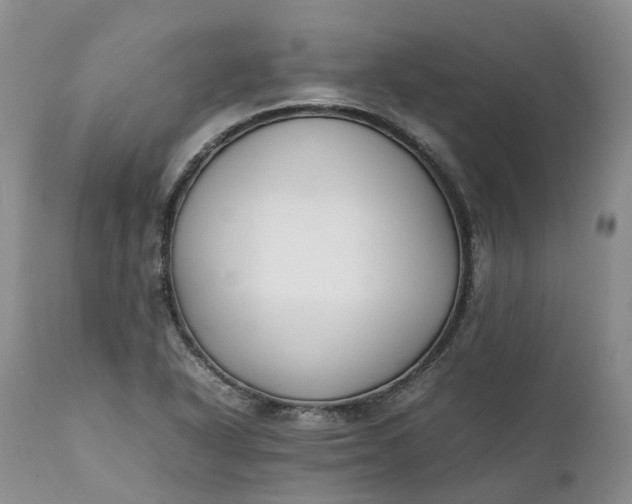 X0000111371318200907241236