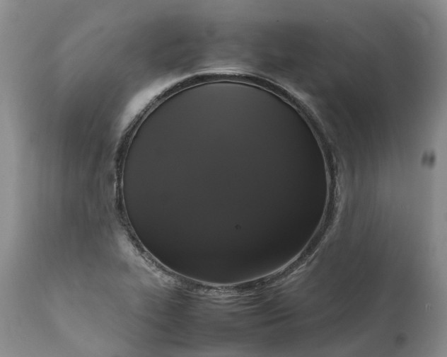 X0000111371319200907241236