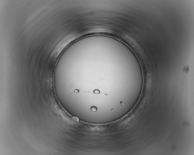 X0000111371321200907241236