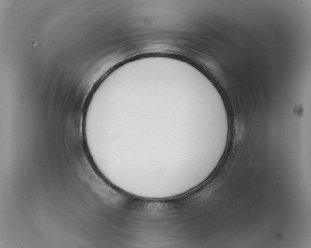 X0000111371322200907241236