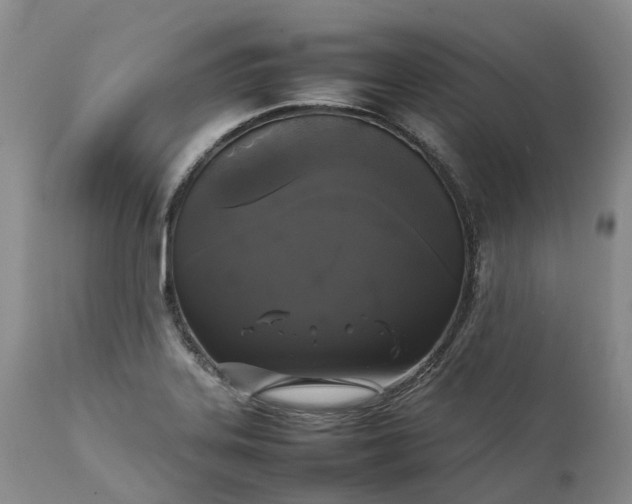 X0000111371323200907241237