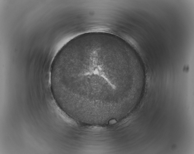 X0000111371324200907241237