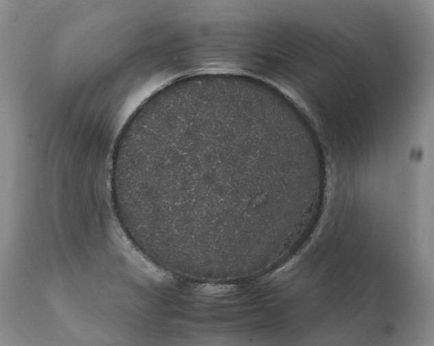 X0000111371325200907241237