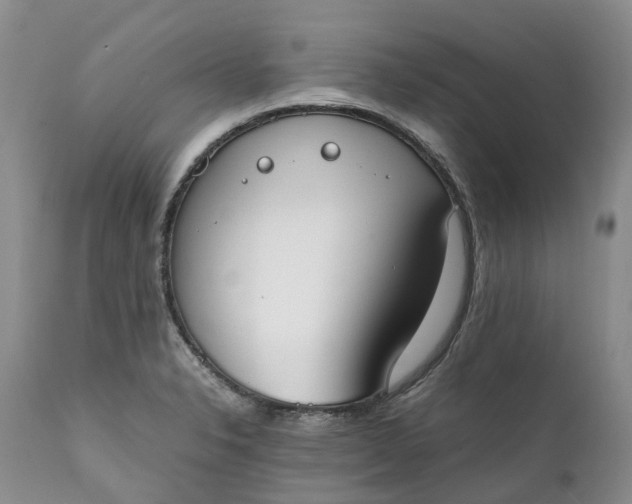 X0000111371326200907241237