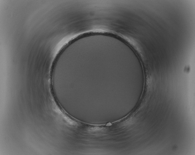 X0000111371327200907241237