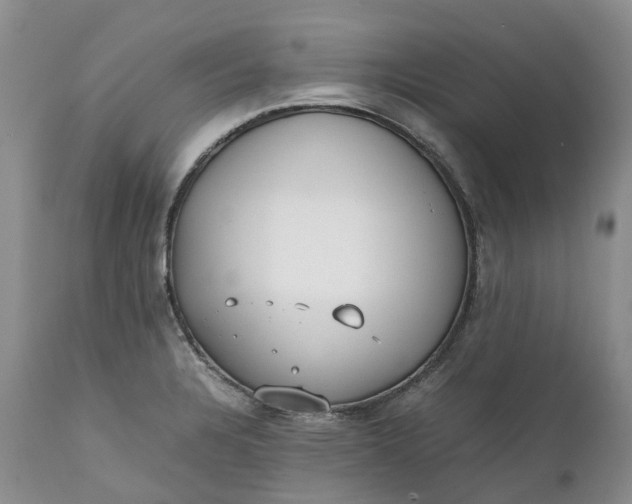 X0000111371328200907241237