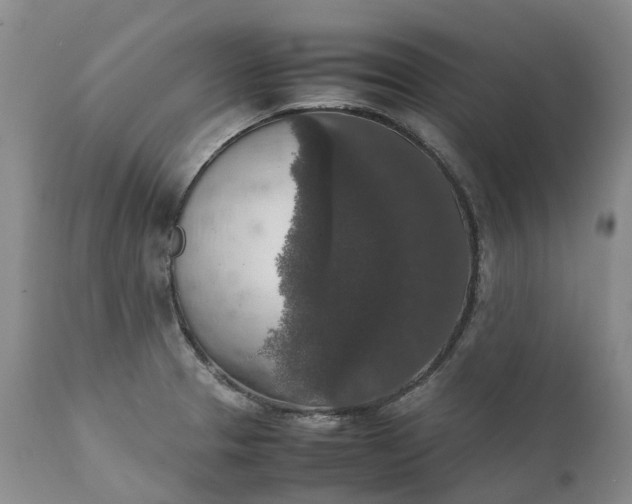 X0000111371329200907241237