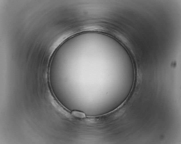 X0000111371330200907241237