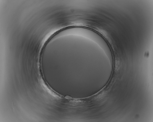 X0000111371331200907241237