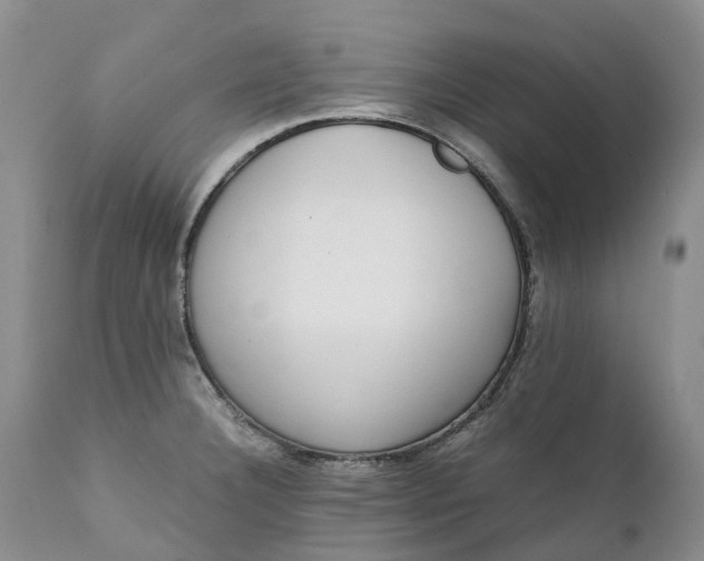 X0000111371332200907241237