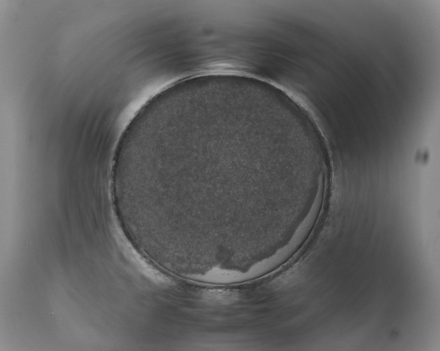 X0000111371333200907241237