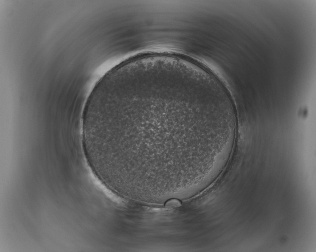 X0000111371335200907241237