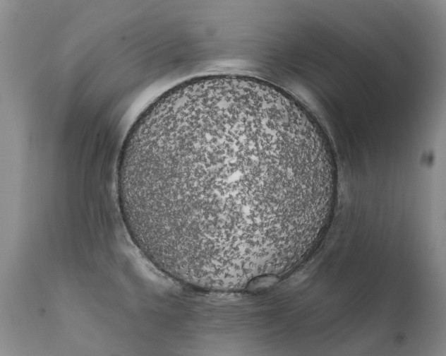 X0000111371336200907241237