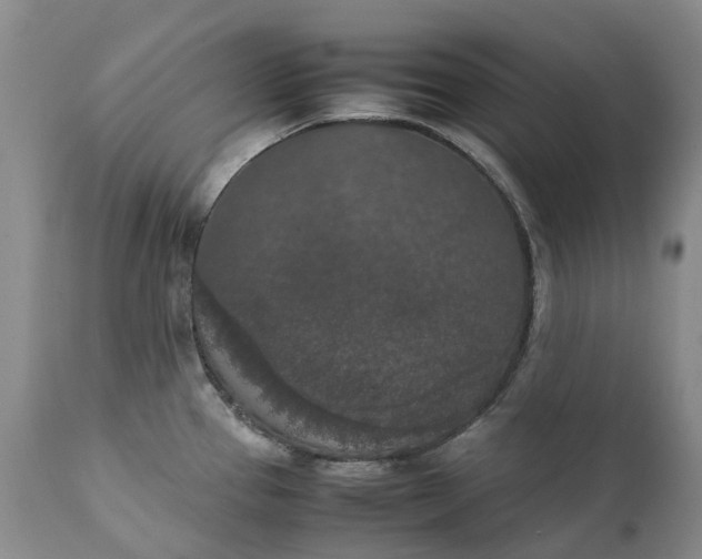 X0000111371337200907241237