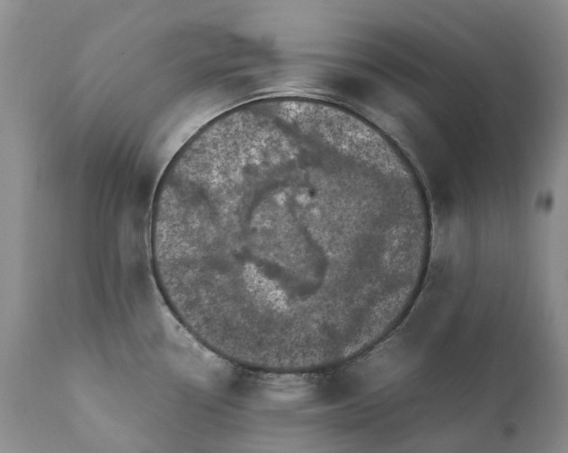 X0000111371338200907241237