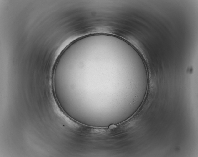 X0000111371339200907241237