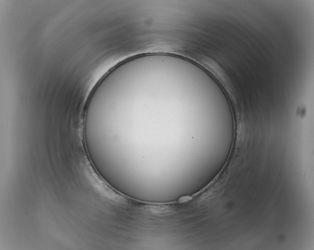 X0000111371340200907241237