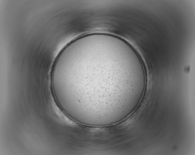 X0000111371341200907241237