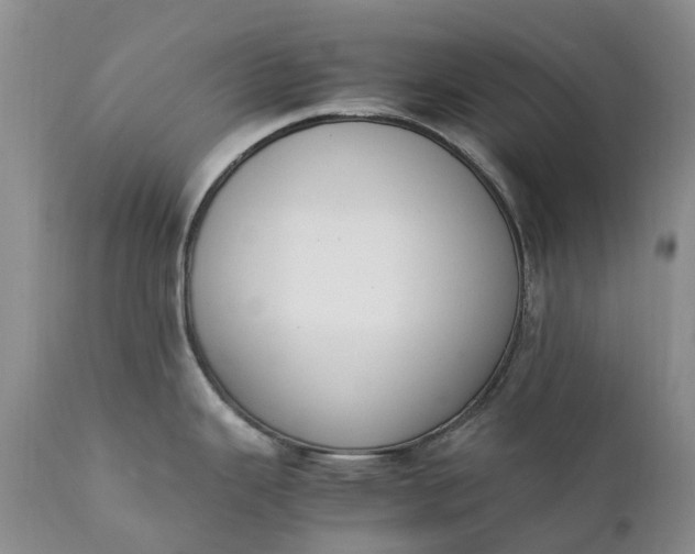 X0000111371343200907241237