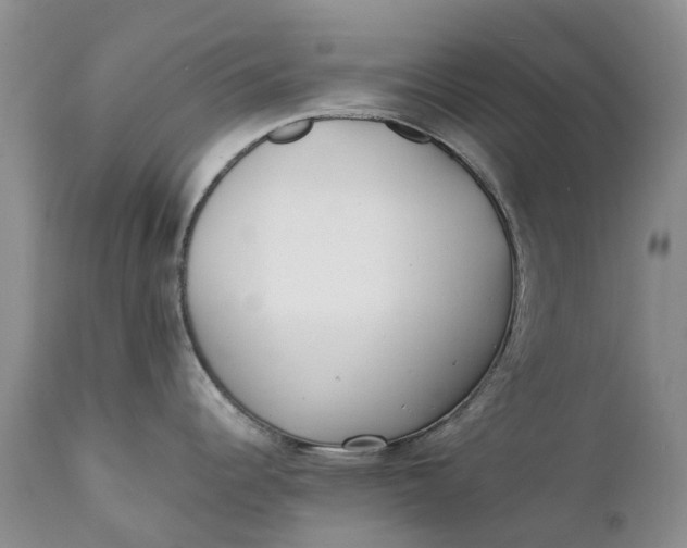 X0000111371344200907241237