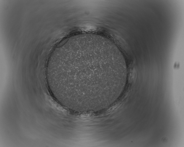 X0000111371345200907241236