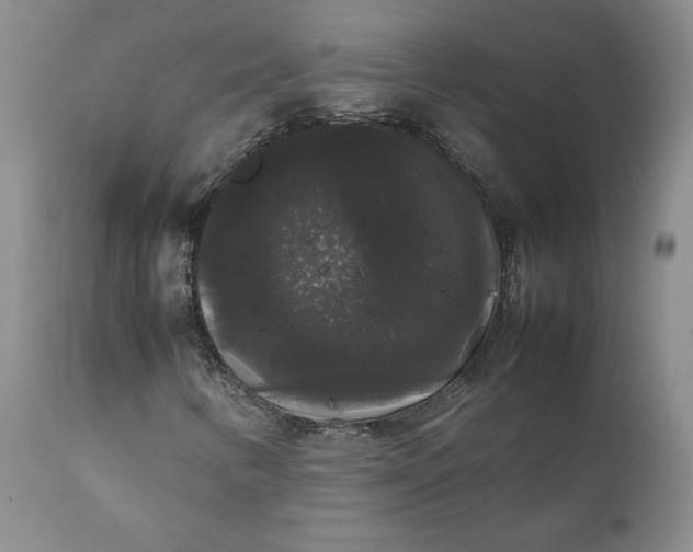 X0000111371346200907241236