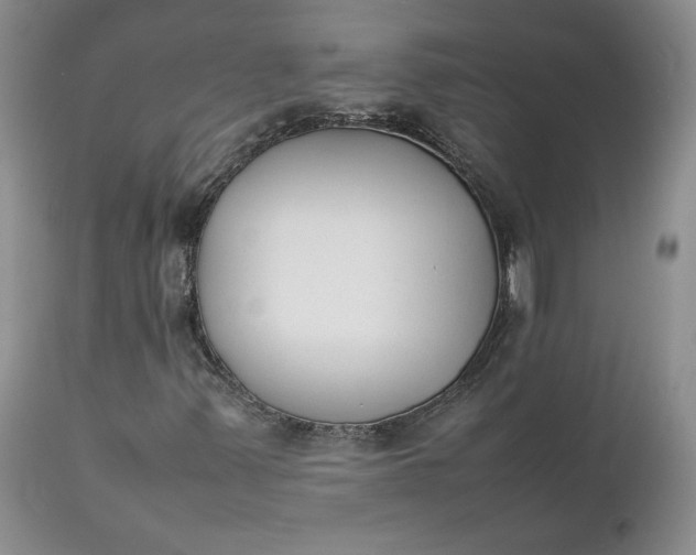 X0000111371347200907241236