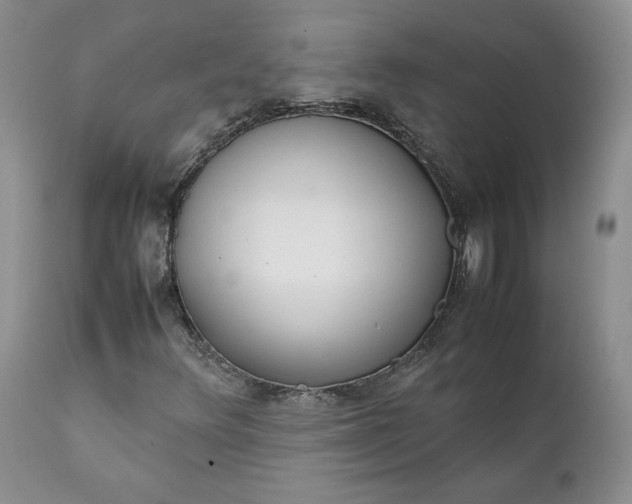 X0000111371348200907241236