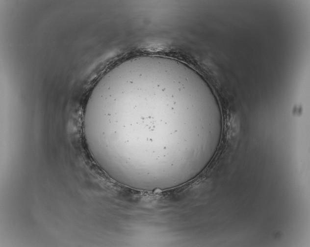 X0000111371349200907241236