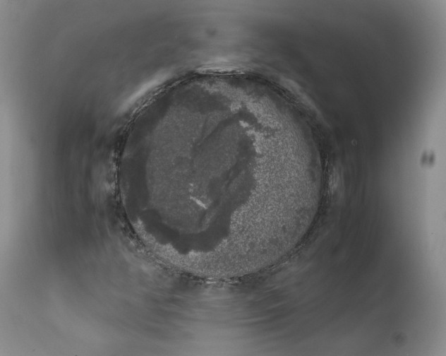 X0000111371350200907241236