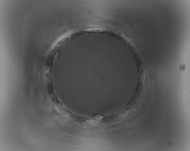 X0000111371351200907241236