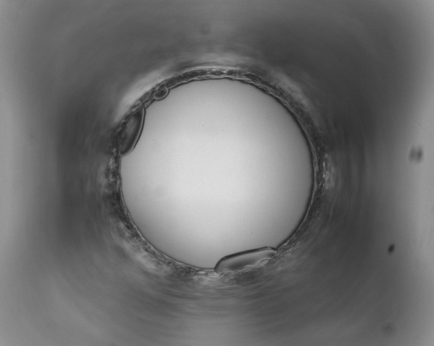 X0000111371352200907241236