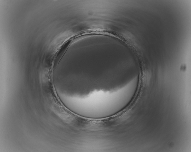 X0000111371353200907241236