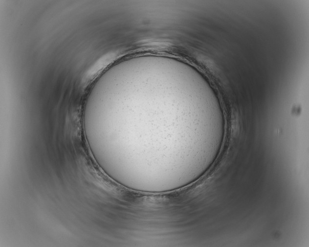 X0000111371354200907241236