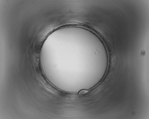 X0000111371355200907241236