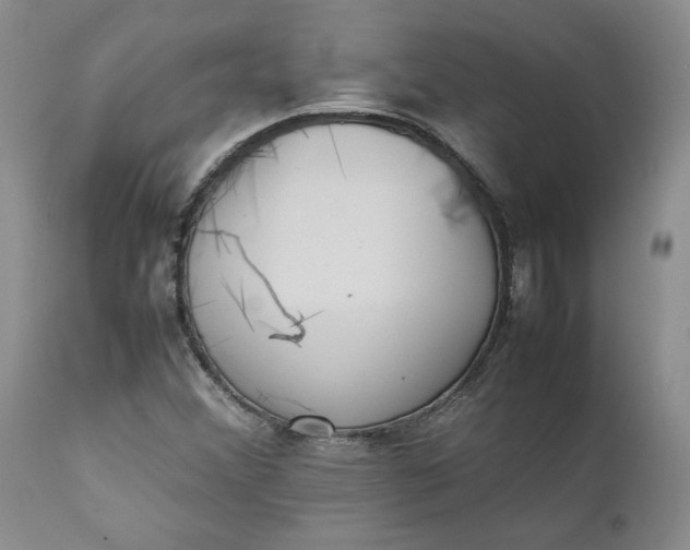 X0000111371356200907241236