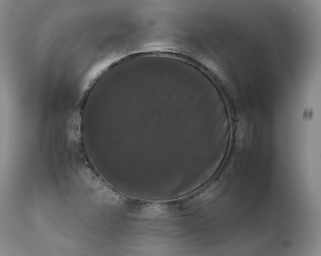 X0000111371358200907241236