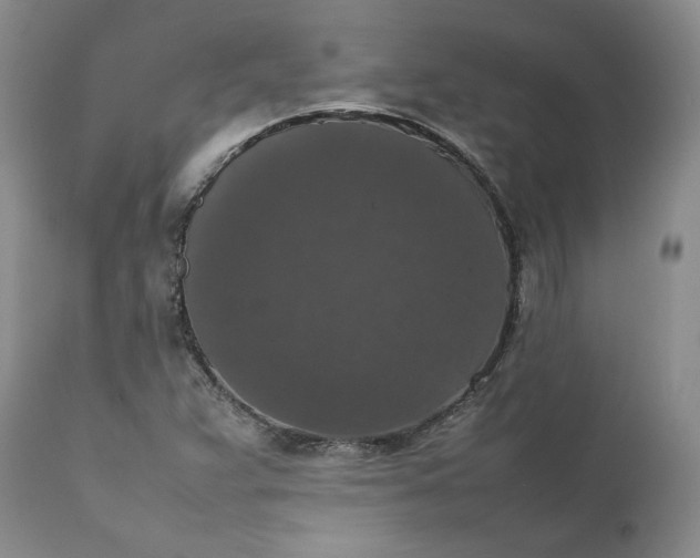 X0000111371359200907241236