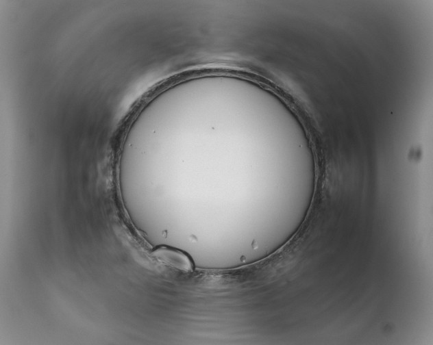 X0000111371360200907241236