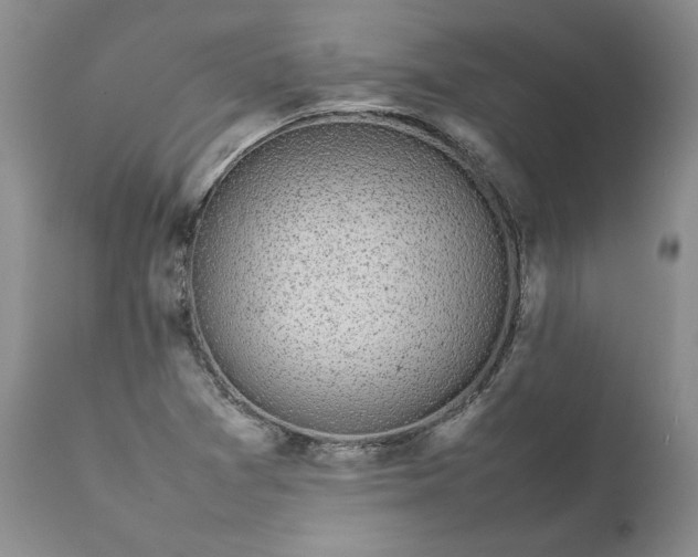 X0000111371361200907241236