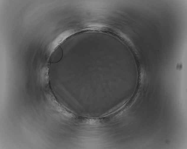 X0000111371362200907241236