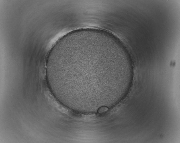 X0000111371363200907241236